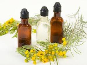 Foto Noticia Los mejores aceites para aromaterapia